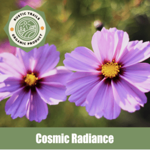 Cosmic Radiance, Cosmophyllos lumina